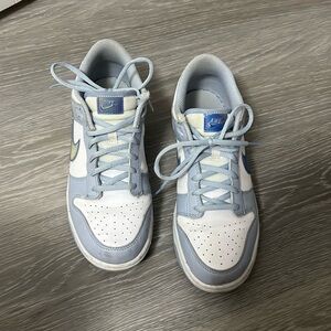 Nike dunk sneakers